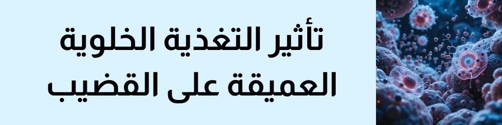 تأثير التغذية الخلوية العميقة على نمو القضيب وزيادة أبعاده