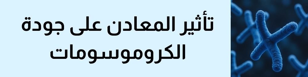 تأثير المعادن على جودة الكروموسومات ودعم عملية تكبير القضيب
