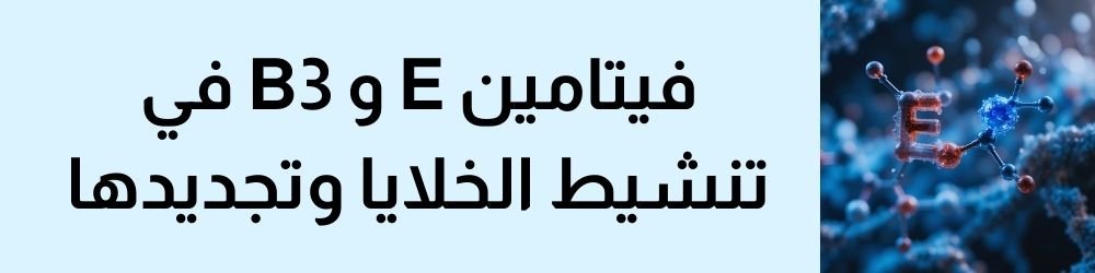 دور فيتامين E و B3 في تنشيط الخلايا وتجديدها لتحقيق زيادة حجم الذكر
