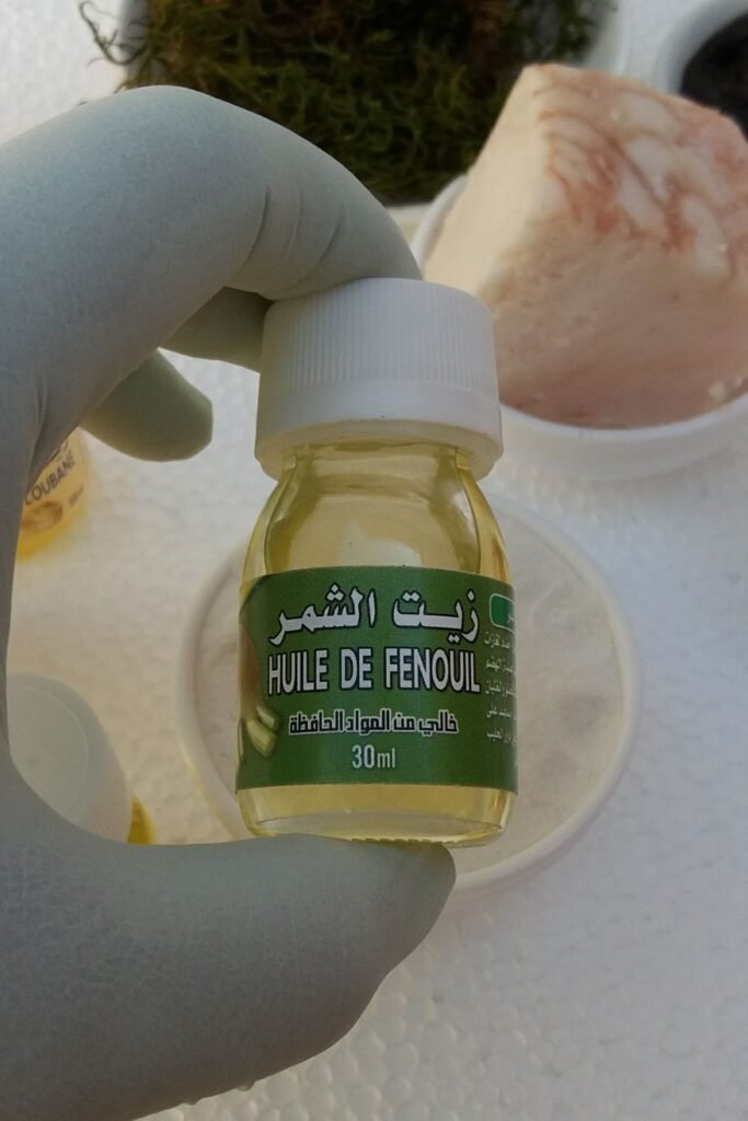 رسم توضيحي يظهر تغذية الخلايا وتحفيزها، بجانب بذور الشمر، لإبراز دور هذا المكون في افضل كريم لتكبير الذكر مجرب.